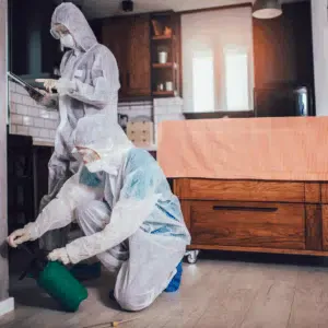 monitoraggio infestanti 