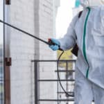 Disinfestazione antialare